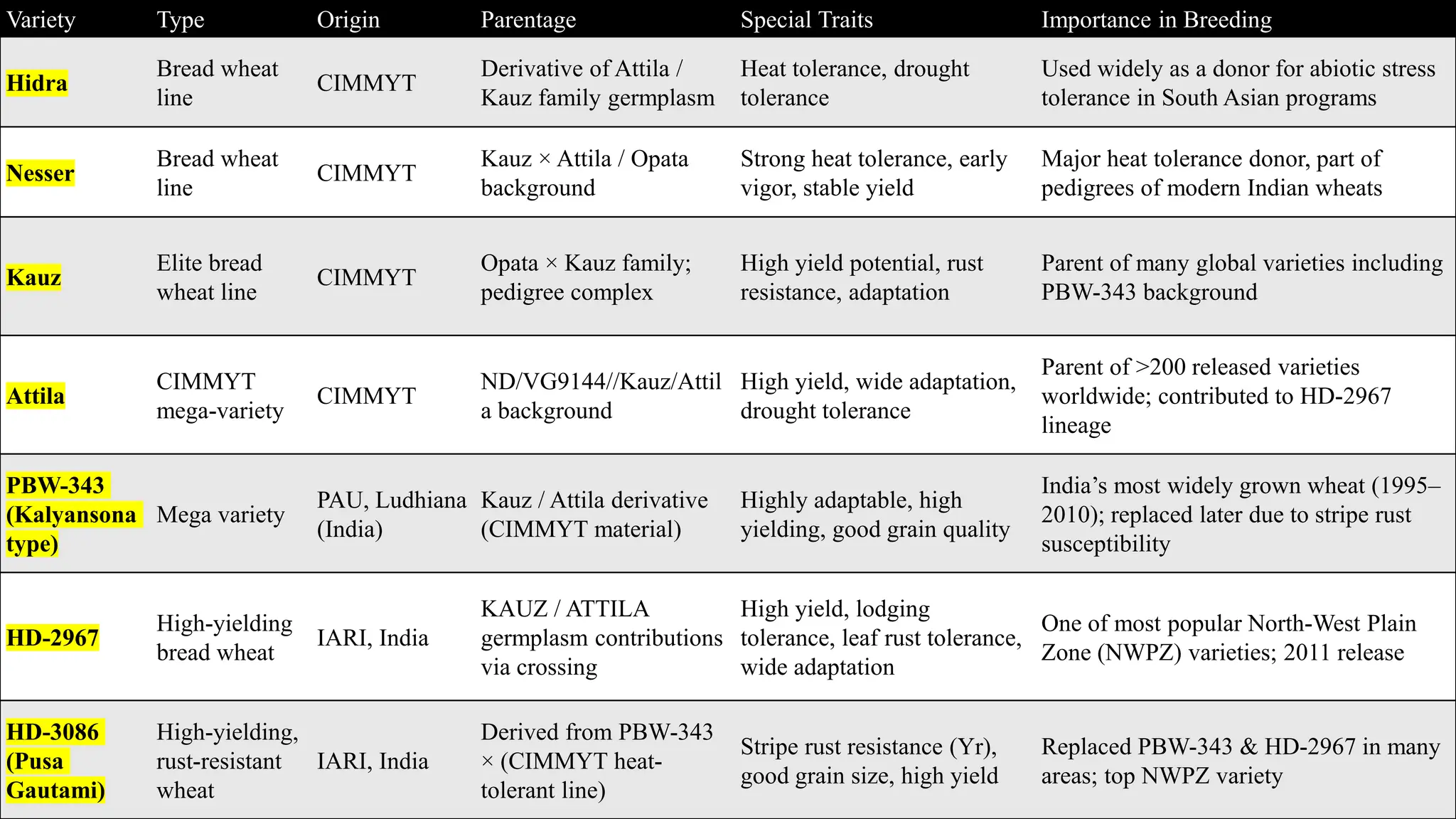 Agriculture by Satyam Sharma
Variety Type Origin Parentage Special Traits Importance in Breeding
Hidra
Bread wheat
line
CIMMYT
Derivative of Attila /
Kauz family germplasm
Heat tolerance, drought
tolerance
Used widely as a donor for abiotic stress
tolerance in South Asian programs
Nesser
Bread wheat
line
CIMMYT
Kauz × Attila / Opata
background
Strong heat tolerance, early
vigor, stable yield
Major heat tolerance donor, part of
pedigrees of modern Indian wheats
Kauz
Elite bread
wheat line
CIMMYT
Opata × Kauz family;
pedigree complex
High yield potential, rust
resistance, adaptation
Parent of many global varieties including
PBW-343 background
Attila
CIMMYT
mega-variety
CIMMYT
ND/VG9144//Kauz/Attil
a background
High yield, wide adaptation,
drought tolerance
Parent of >200 released varieties
worldwide; contributed to HD-2967
lineage
PBW-343
(Kalyansona
type)
Mega variety
PAU, Ludhiana
(India)
Kauz / Attila derivative
(CIMMYT material)
Highly adaptable, high
yielding, good grain quality
India’s most widely grown wheat (1995–
2010); replaced later due to stripe rust
susceptibility
HD-2967
High-yielding
bread wheat
IARI, India
KAUZ / ATTILA
germplasm contributions
via crossing
High yield, lodging
tolerance, leaf rust tolerance,
wide adaptation
One of most popular North-West Plain
Zone (NWPZ) varieties; 2011 release
HD-3086
(Pusa
Gautami)
High-yielding,
rust-resistant
wheat
IARI, India
Derived from PBW-343
× (CIMMYT heat-
tolerant line)
Stripe rust resistance (Yr),
good grain size, high yield
Replaced PBW-343 & HD-2967 in many
areas; top NWPZ variety
 