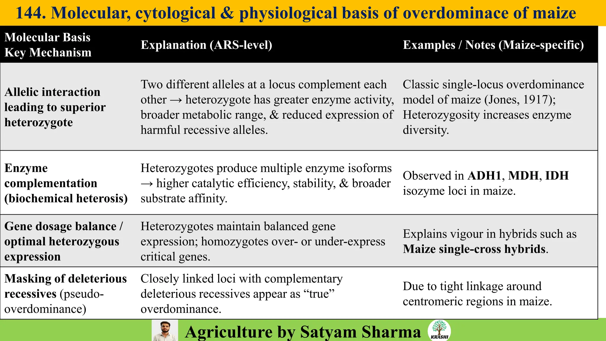 Agriculture by Satyam Sharma
144. Molecular, cytological & physiological basis of overdominace of maize
Molecular Basis
Key Mechanism
Explanation (ARS-level) Examples / Notes (Maize-specific)
Allelic interaction
leading to superior
heterozygote
Two different alleles at a locus complement each
other → heterozygote has greater enzyme activity,
broader metabolic range, & reduced expression of
harmful recessive alleles.
Classic single-locus overdominance
model of maize (Jones, 1917);
Heterozygosity increases enzyme
diversity.
Enzyme
complementation
(biochemical heterosis)
Heterozygotes produce multiple enzyme isoforms
→ higher catalytic efficiency, stability, & broader
substrate affinity.
Observed in ADH1, MDH, IDH
isozyme loci in maize.
Gene dosage balance /
optimal heterozygous
expression
Heterozygotes maintain balanced gene
expression; homozygotes over- or under-express
critical genes.
Explains vigour in hybrids such as
Maize single-cross hybrids.
Masking of deleterious
recessives (pseudo-
overdominance)
Closely linked loci with complementary
deleterious recessives appear as “true”
overdominance.
Due to tight linkage around
centromeric regions in maize.
 