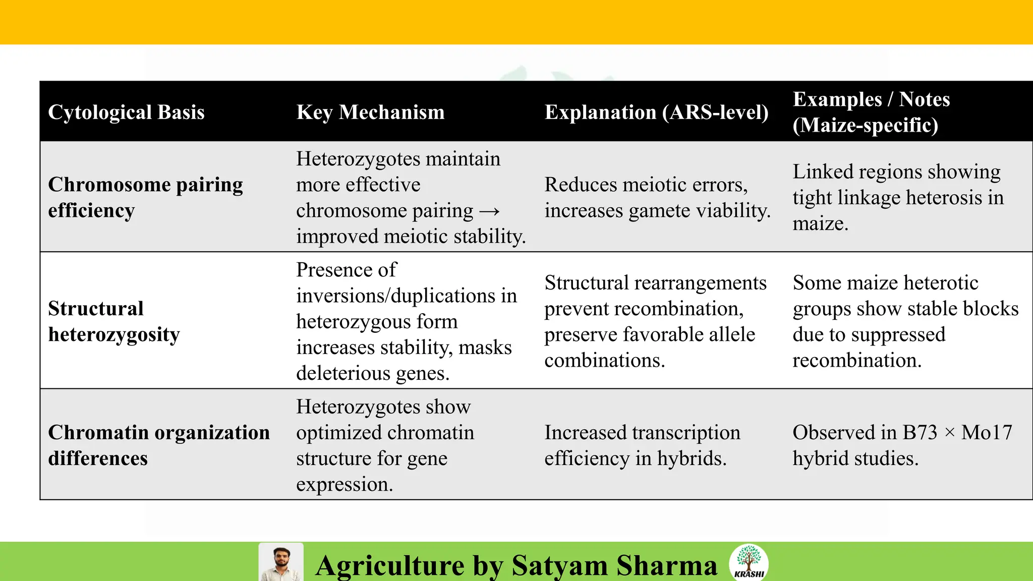 Agriculture by Satyam Sharma
Cytological Basis Key Mechanism Explanation (ARS-level)
Examples / Notes
(Maize-specific)
Chromosome pairing
efficiency
Heterozygotes maintain
more effective
chromosome pairing →
improved meiotic stability.
Reduces meiotic errors,
increases gamete viability.
Linked regions showing
tight linkage heterosis in
maize.
Structural
heterozygosity
Presence of
inversions/duplications in
heterozygous form
increases stability, masks
deleterious genes.
Structural rearrangements
prevent recombination,
preserve favorable allele
combinations.
Some maize heterotic
groups show stable blocks
due to suppressed
recombination.
Chromatin organization
differences
Heterozygotes show
optimized chromatin
structure for gene
expression.
Increased transcription
efficiency in hybrids.
Observed in B73 × Mo17
hybrid studies.
 