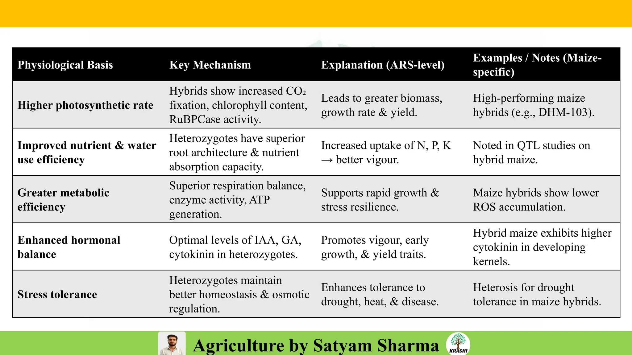 Agriculture by Satyam Sharma
Physiological Basis Key Mechanism Explanation (ARS-level)
Examples / Notes (Maize-
specific)
Higher photosynthetic rate
Hybrids show increased CO₂
fixation, chlorophyll content,
RuBPCase activity.
Leads to greater biomass,
growth rate & yield.
High-performing maize
hybrids (e.g., DHM-103).
Improved nutrient & water
use efficiency
Heterozygotes have superior
root architecture & nutrient
absorption capacity.
Increased uptake of N, P, K
→ better vigour.
Noted in QTL studies on
hybrid maize.
Greater metabolic
efficiency
Superior respiration balance,
enzyme activity, ATP
generation.
Supports rapid growth &
stress resilience.
Maize hybrids show lower
ROS accumulation.
Enhanced hormonal
balance
Optimal levels of IAA, GA,
cytokinin in heterozygotes.
Promotes vigour, early
growth, & yield traits.
Hybrid maize exhibits higher
cytokinin in developing
kernels.
Stress tolerance
Heterozygotes maintain
better homeostasis & osmotic
regulation.
Enhances tolerance to
drought, heat, & disease.
Heterosis for drought
tolerance in maize hybrids.
 