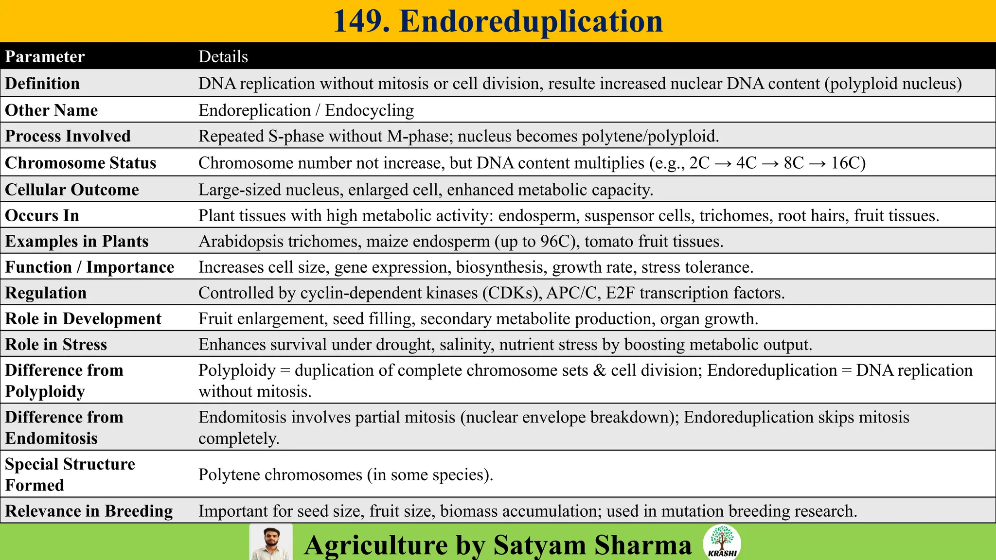 Agriculture by Satyam Sharma
149. Endoreduplication
Parameter Details
Definition DNA replication without mitosis or cell division, resulte increased nuclear DNA content (polyploid nucleus)
Other Name Endoreplication / Endocycling
Process Involved Repeated S-phase without M-phase; nucleus becomes polytene/polyploid.
Chromosome Status Chromosome number not increase, but DNA content multiplies (e.g., 2C → 4C → 8C → 16C)
Cellular Outcome Large-sized nucleus, enlarged cell, enhanced metabolic capacity.
Occurs In Plant tissues with high metabolic activity: endosperm, suspensor cells, trichomes, root hairs, fruit tissues.
Examples in Plants Arabidopsis trichomes, maize endosperm (up to 96C), tomato fruit tissues.
Function / Importance Increases cell size, gene expression, biosynthesis, growth rate, stress tolerance.
Regulation Controlled by cyclin-dependent kinases (CDKs), APC/C, E2F transcription factors.
Role in Development Fruit enlargement, seed filling, secondary metabolite production, organ growth.
Role in Stress Enhances survival under drought, salinity, nutrient stress by boosting metabolic output.
Difference from
Polyploidy
Polyploidy = duplication of complete chromosome sets & cell division; Endoreduplication = DNA replication
without mitosis.
Difference from
Endomitosis
Endomitosis involves partial mitosis (nuclear envelope breakdown); Endoreduplication skips mitosis
completely.
Special Structure
Formed
Polytene chromosomes (in some species).
Relevance in Breeding Important for seed size, fruit size, biomass accumulation; used in mutation breeding research.
 