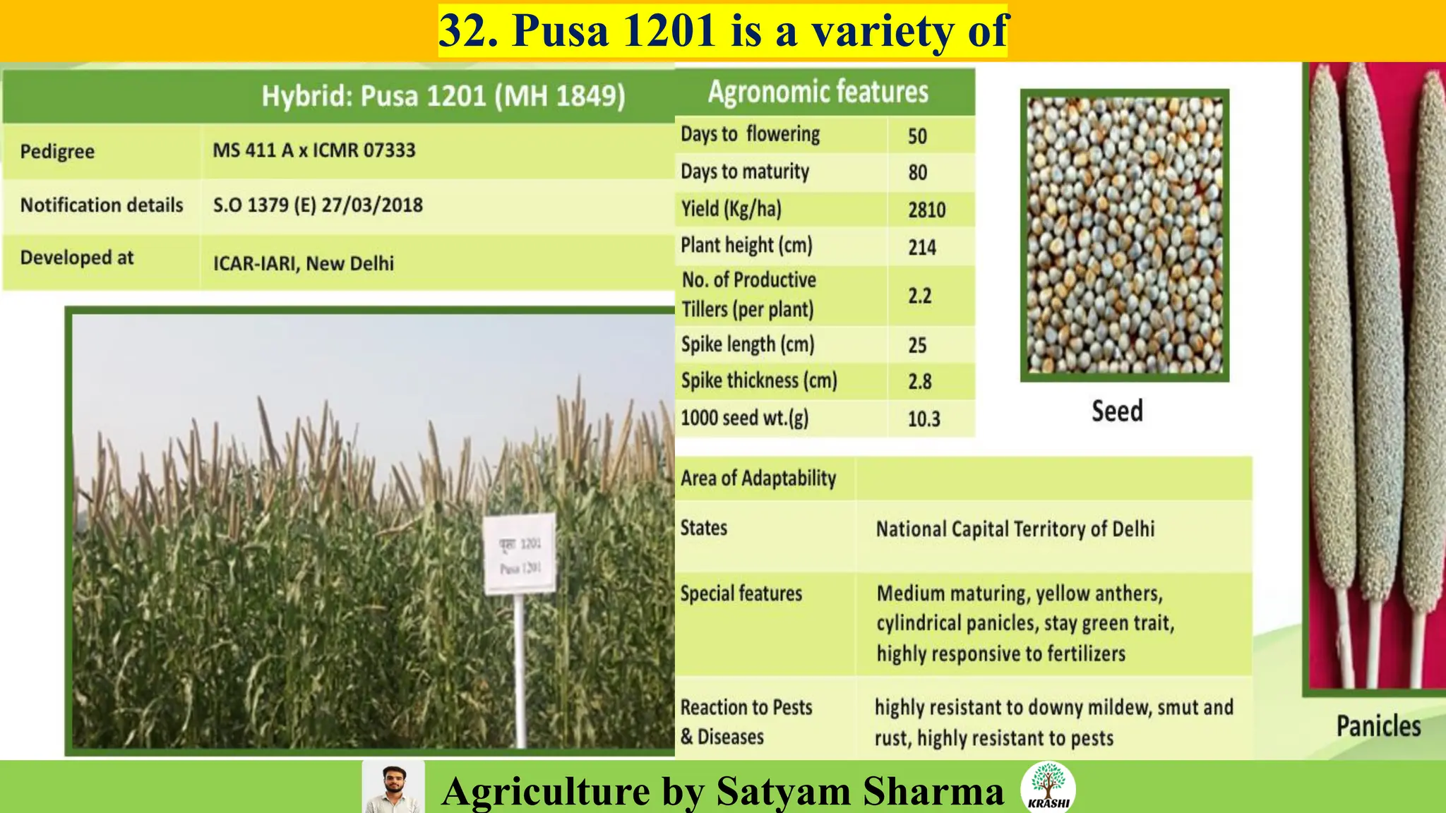 Agriculture by Satyam Sharma
32. Pusa 1201 is a variety of
 