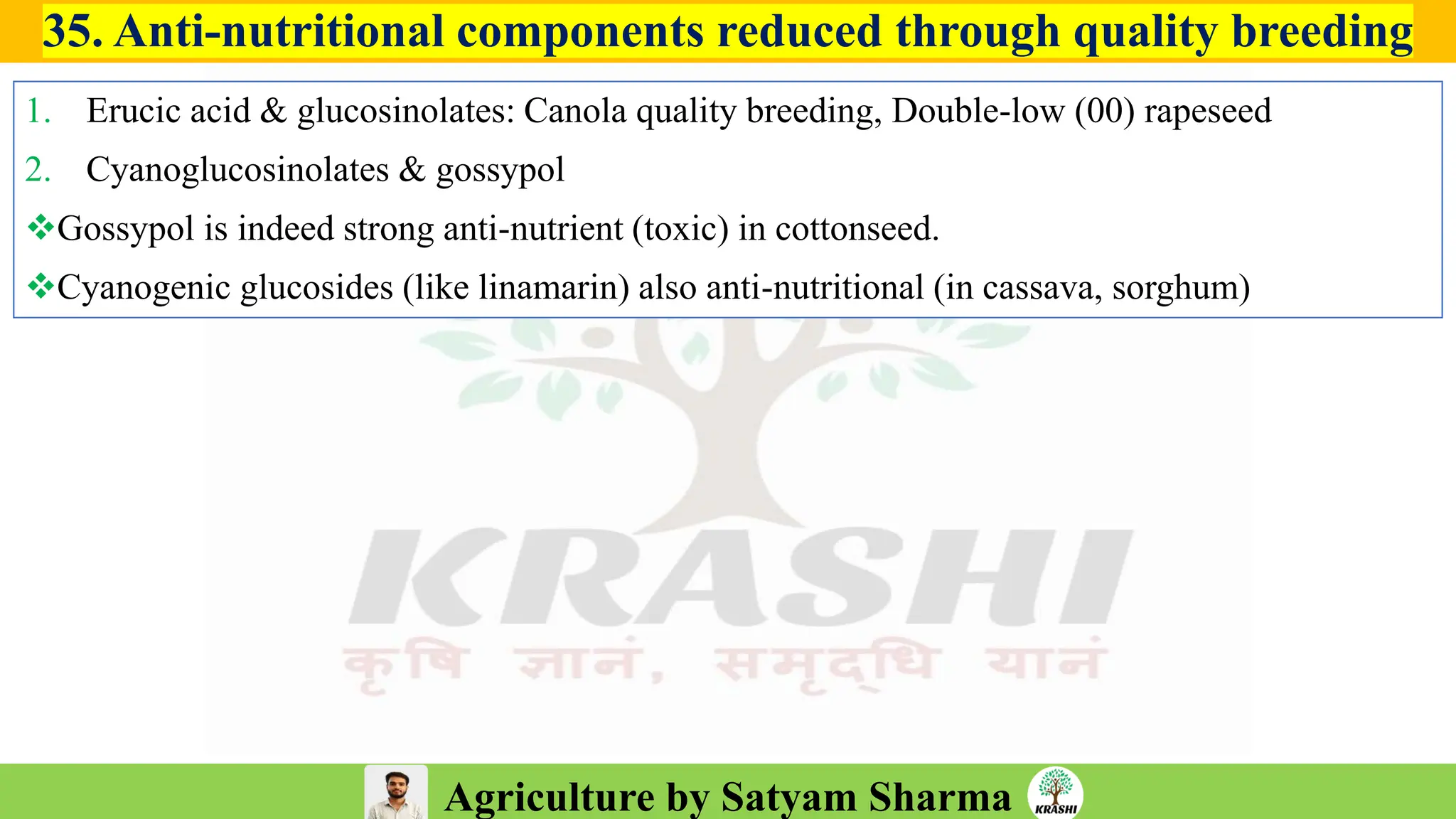 Agriculture by Satyam Sharma
35. Anti-nutritional components reduced through quality breeding
1. Erucic acid & glucosinolates: Canola quality breeding, Double-low (00) rapeseed
2. Cyanoglucosinolates & gossypol
❖Gossypol is indeed strong anti-nutrient (toxic) in cottonseed.
❖Cyanogenic glucosides (like linamarin) also anti-nutritional (in cassava, sorghum)
 