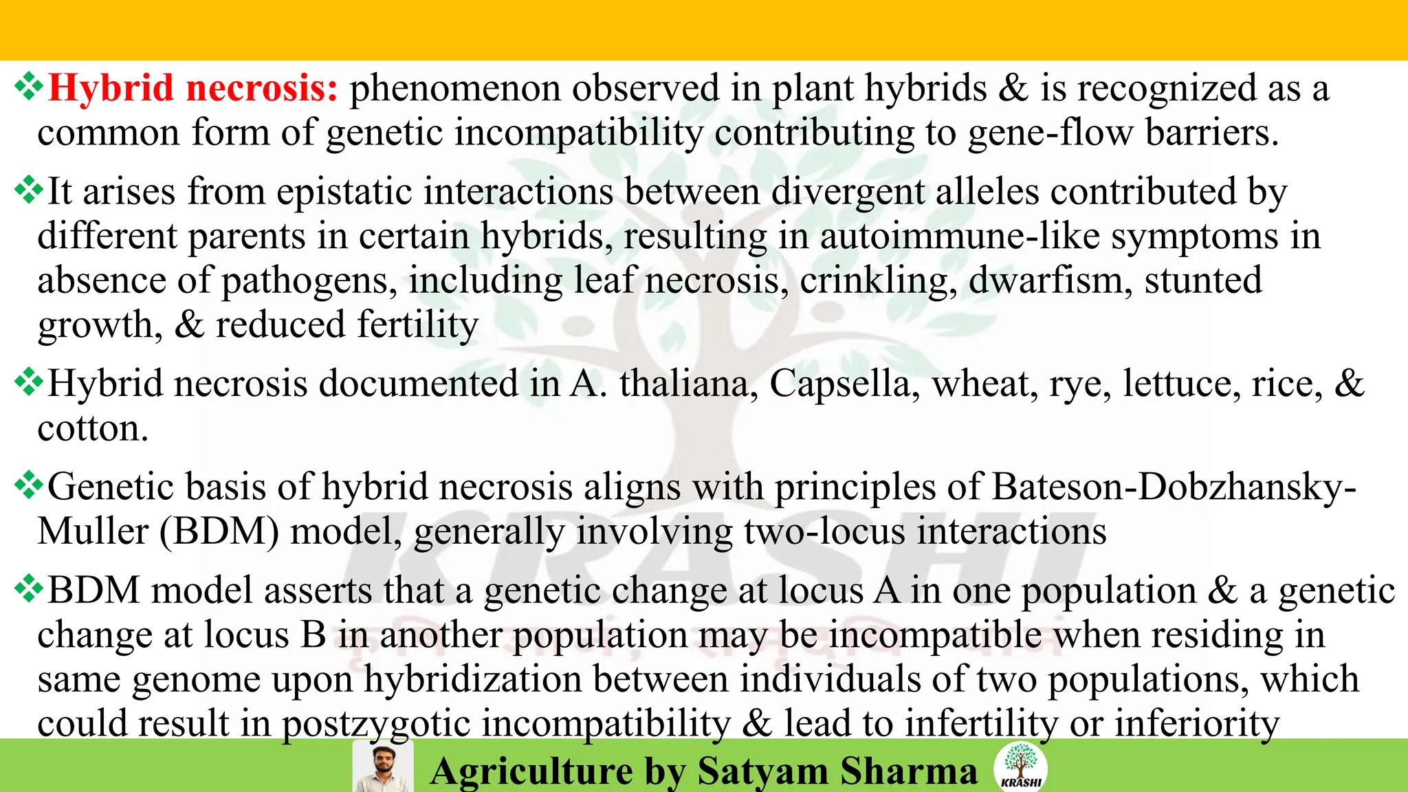 Agriculture by Satyam Sharma
❖Hybrid necrosis: phenomenon observed in plant hybrids & is recognized as a
common form of genetic incompatibility contributing to gene-flow barriers.
❖It arises from epistatic interactions between divergent alleles contributed by
different parents in certain hybrids, resulting in autoimmune-like symptoms in
absence of pathogens, including leaf necrosis, crinkling, dwarfism, stunted
growth, & reduced fertility
❖Hybrid necrosis documented in A. thaliana, Capsella, wheat, rye, lettuce, rice, &
cotton.
❖Genetic basis of hybrid necrosis aligns with principles of Bateson-Dobzhansky-
Muller (BDM) model, generally involving two-locus interactions
❖BDM model asserts that a genetic change at locus A in one population & a genetic
change at locus B in another population may be incompatible when residing in
same genome upon hybridization between individuals of two populations, which
could result in postzygotic incompatibility & lead to infertility or inferiority
 