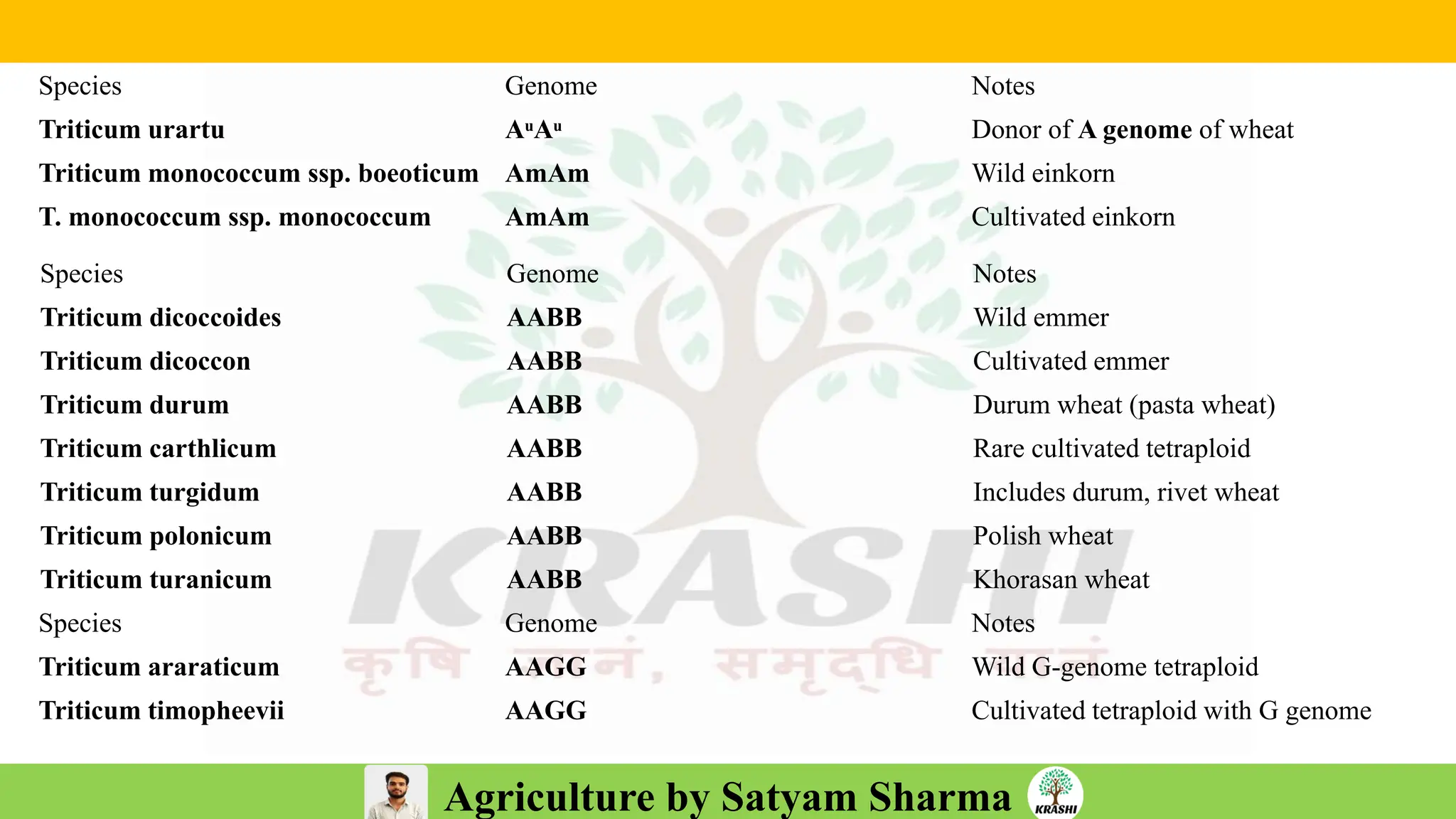 Agriculture by Satyam Sharma
Species Genome Notes
Triticum urartu AᵘAᵘ Donor of A genome of wheat
Triticum monococcum ssp. boeoticum AmAm Wild einkorn
T. monococcum ssp. monococcum AmAm Cultivated einkorn
Species Genome Notes
Triticum dicoccoides AABB Wild emmer
Triticum dicoccon AABB Cultivated emmer
Triticum durum AABB Durum wheat (pasta wheat)
Triticum carthlicum AABB Rare cultivated tetraploid
Triticum turgidum AABB Includes durum, rivet wheat
Triticum polonicum AABB Polish wheat
Triticum turanicum AABB Khorasan wheat
Species Genome Notes
Triticum araraticum AAGG Wild G-genome tetraploid
Triticum timopheevii AAGG Cultivated tetraploid with G genome
 