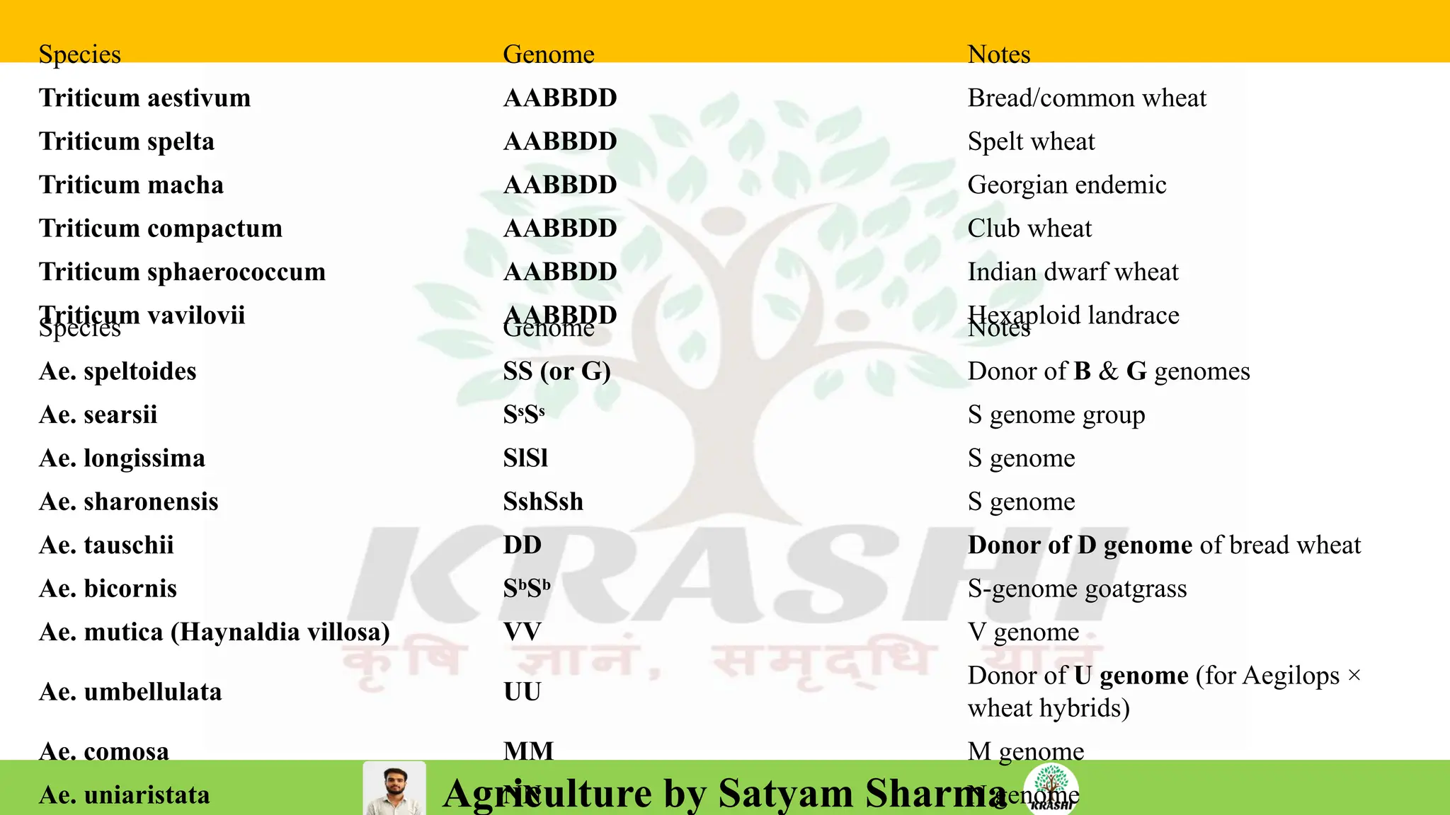 Agriculture by Satyam Sharma
Species Genome Notes
Triticum aestivum AABBDD Bread/common wheat
Triticum spelta AABBDD Spelt wheat
Triticum macha AABBDD Georgian endemic
Triticum compactum AABBDD Club wheat
Triticum sphaerococcum AABBDD Indian dwarf wheat
Triticum vavilovii AABBDD Hexaploid landrace
Species Genome Notes
Ae. speltoides SS (or G) Donor of B & G genomes
Ae. searsii SˢSˢ S genome group
Ae. longissima SlSl S genome
Ae. sharonensis SshSsh S genome
Ae. tauschii DD Donor of D genome of bread wheat
Ae. bicornis SᵇSᵇ S-genome goatgrass
Ae. mutica (Haynaldia villosa) VV V genome
Ae. umbellulata UU
Donor of U genome (for Aegilops ×
wheat hybrids)
Ae. comosa MM M genome
Ae. uniaristata NN N genome
 