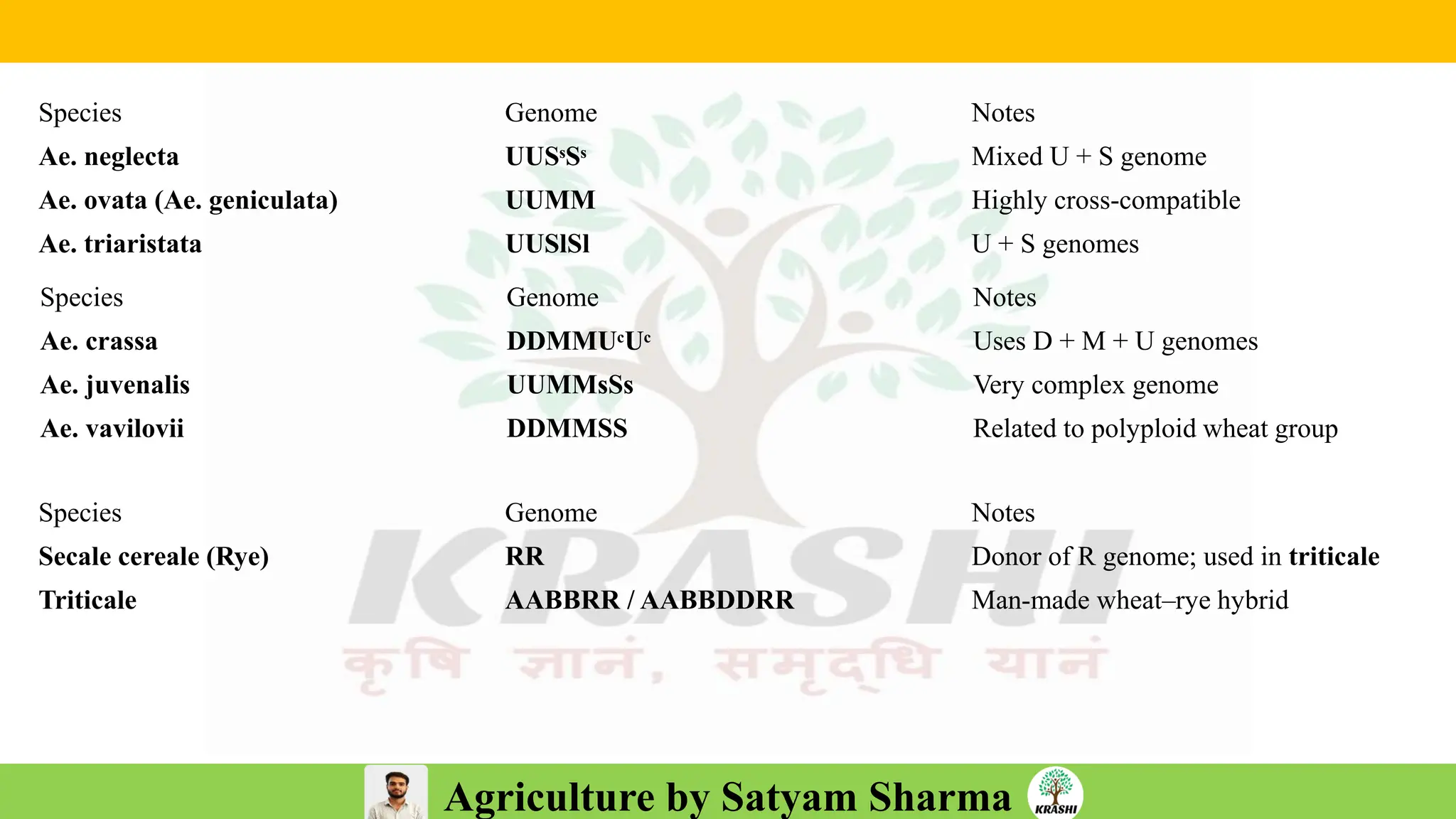Agriculture by Satyam Sharma
Species Genome Notes
Ae. neglecta UUSˢSˢ Mixed U + S genome
Ae. ovata (Ae. geniculata) UUMM Highly cross-compatible
Ae. triaristata UUSlSl U + S genomes
Species Genome Notes
Ae. crassa DDMMUᶜUᶜ Uses D + M + U genomes
Ae. juvenalis UUMMsSs Very complex genome
Ae. vavilovii DDMMSS Related to polyploid wheat group
Species Genome Notes
Secale cereale (Rye) RR Donor of R genome; used in triticale
Triticale AABBRR / AABBDDRR Man-made wheat–rye hybrid
 