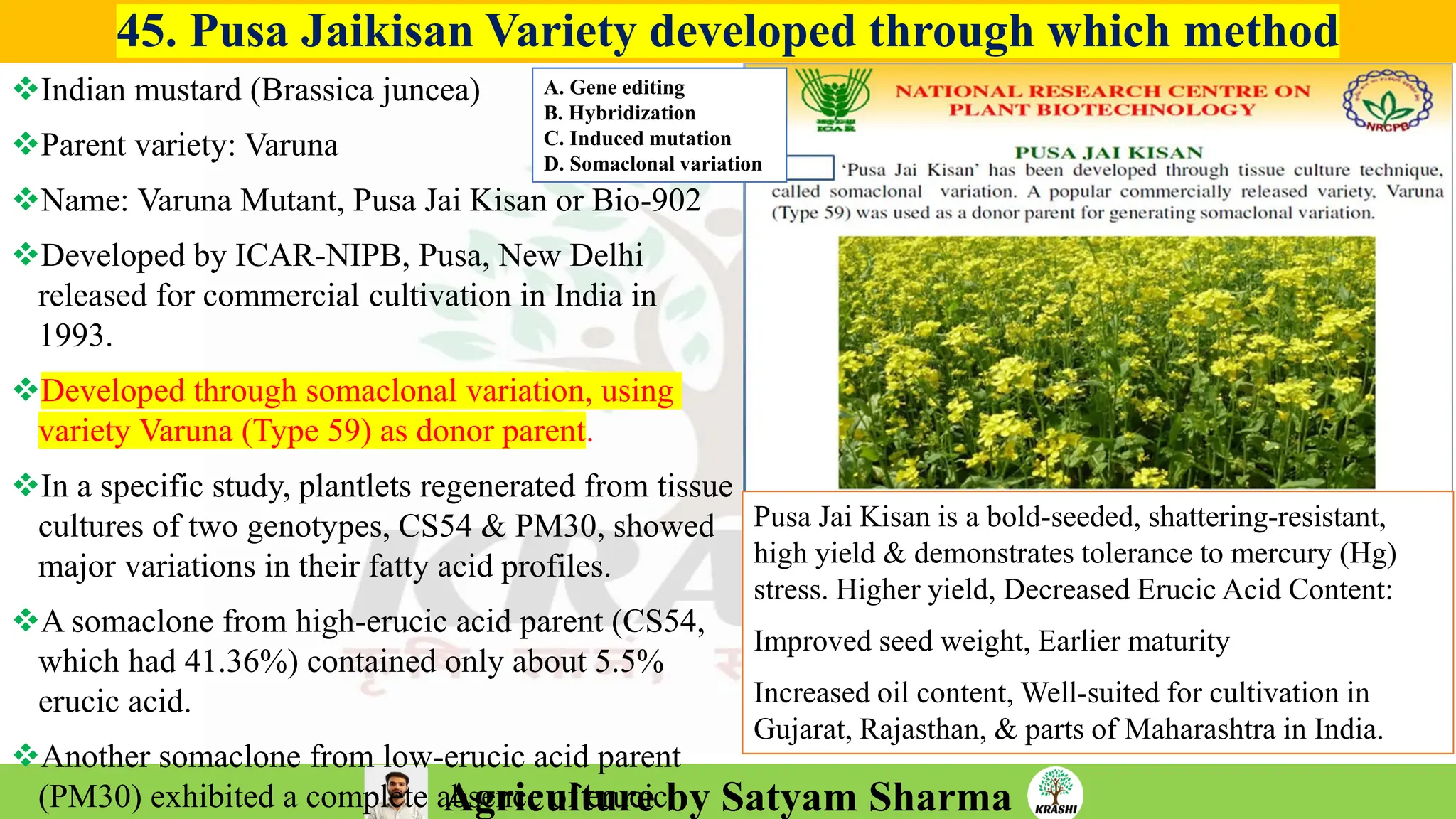 Agriculture by Satyam Sharma
45. Pusa Jaikisan Variety developed through which method
❖Indian mustard (Brassica juncea)
❖Parent variety: Varuna
❖Name: Varuna Mutant, Pusa Jai Kisan or Bio-902
❖Developed by ICAR-NIPB, Pusa, New Delhi
released for commercial cultivation in India in
1993.
❖Developed through somaclonal variation, using
variety Varuna (Type 59) as donor parent.
❖In a specific study, plantlets regenerated from tissue
cultures of two genotypes, CS54 & PM30, showed
major variations in their fatty acid profiles.
❖A somaclone from high-erucic acid parent (CS54,
which had 41.36%) contained only about 5.5%
erucic acid.
❖Another somaclone from low-erucic acid parent
(PM30) exhibited a complete absence of erucic
Pusa Jai Kisan is a bold-seeded, shattering-resistant,
high yield & demonstrates tolerance to mercury (Hg)
stress. Higher yield, Decreased Erucic Acid Content:
Improved seed weight, Earlier maturity
Increased oil content, Well-suited for cultivation in
Gujarat, Rajasthan, & parts of Maharashtra in India.
A. Gene editing
B. Hybridization
C. Induced mutation
D. Somaclonal variation
 