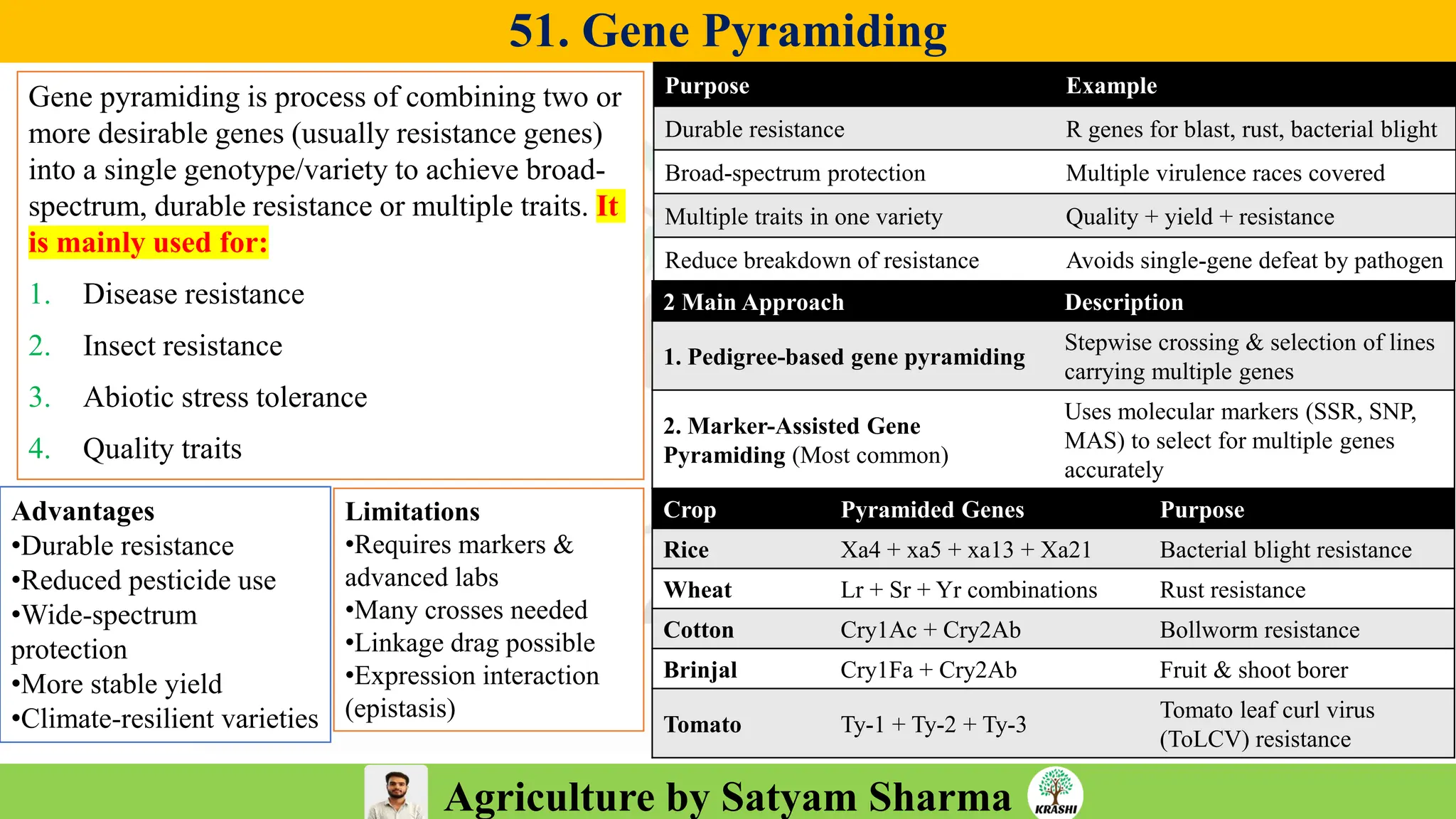 Agriculture by Satyam Sharma
51. Gene Pyramiding
Gene pyramiding is process of combining two or
more desirable genes (usually resistance genes)
into a single genotype/variety to achieve broad-
spectrum, durable resistance or multiple traits. It
is mainly used for:
1. Disease resistance
2. Insect resistance
3. Abiotic stress tolerance
4. Quality traits
Crop Pyramided Genes Purpose
Rice Xa4 + xa5 + xa13 + Xa21 Bacterial blight resistance
Wheat Lr + Sr + Yr combinations Rust resistance
Cotton Cry1Ac + Cry2Ab Bollworm resistance
Brinjal Cry1Fa + Cry2Ab Fruit & shoot borer
Tomato Ty-1 + Ty-2 + Ty-3
Tomato leaf curl virus
(ToLCV) resistance
2 Main Approach Description
1. Pedigree-based gene pyramiding
Stepwise crossing & selection of lines
carrying multiple genes
2. Marker-Assisted Gene
Pyramiding (Most common)
Uses molecular markers (SSR, SNP,
MAS) to select for multiple genes
accurately
Purpose Example
Durable resistance R genes for blast, rust, bacterial blight
Broad-spectrum protection Multiple virulence races covered
Multiple traits in one variety Quality + yield + resistance
Reduce breakdown of resistance Avoids single-gene defeat by pathogen
Advantages
•Durable resistance
•Reduced pesticide use
•Wide-spectrum
protection
•More stable yield
•Climate-resilient varieties
Limitations
•Requires markers &
advanced labs
•Many crosses needed
•Linkage drag possible
•Expression interaction
(epistasis)
 