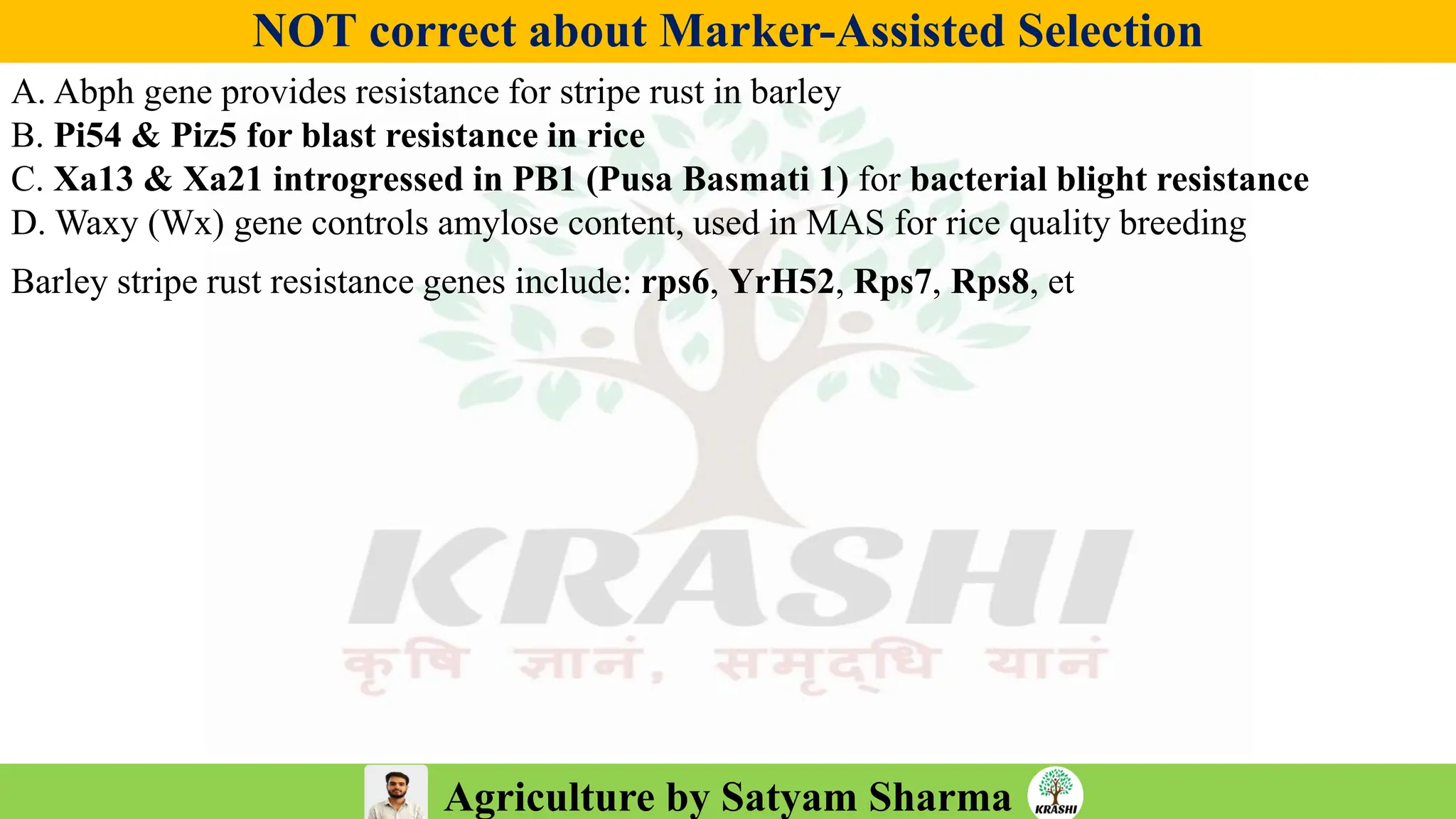 Agriculture by Satyam Sharma
NOT correct about Marker-Assisted Selection
A. Abph gene provides resistance for stripe rust in barley
B. Pi54 & Piz5 for blast resistance in rice
C. Xa13 & Xa21 introgressed in PB1 (Pusa Basmati 1) for bacterial blight resistance
D. Waxy (Wx) gene controls amylose content, used in MAS for rice quality breeding
Barley stripe rust resistance genes include: rps6, YrH52, Rps7, Rps8, et
 