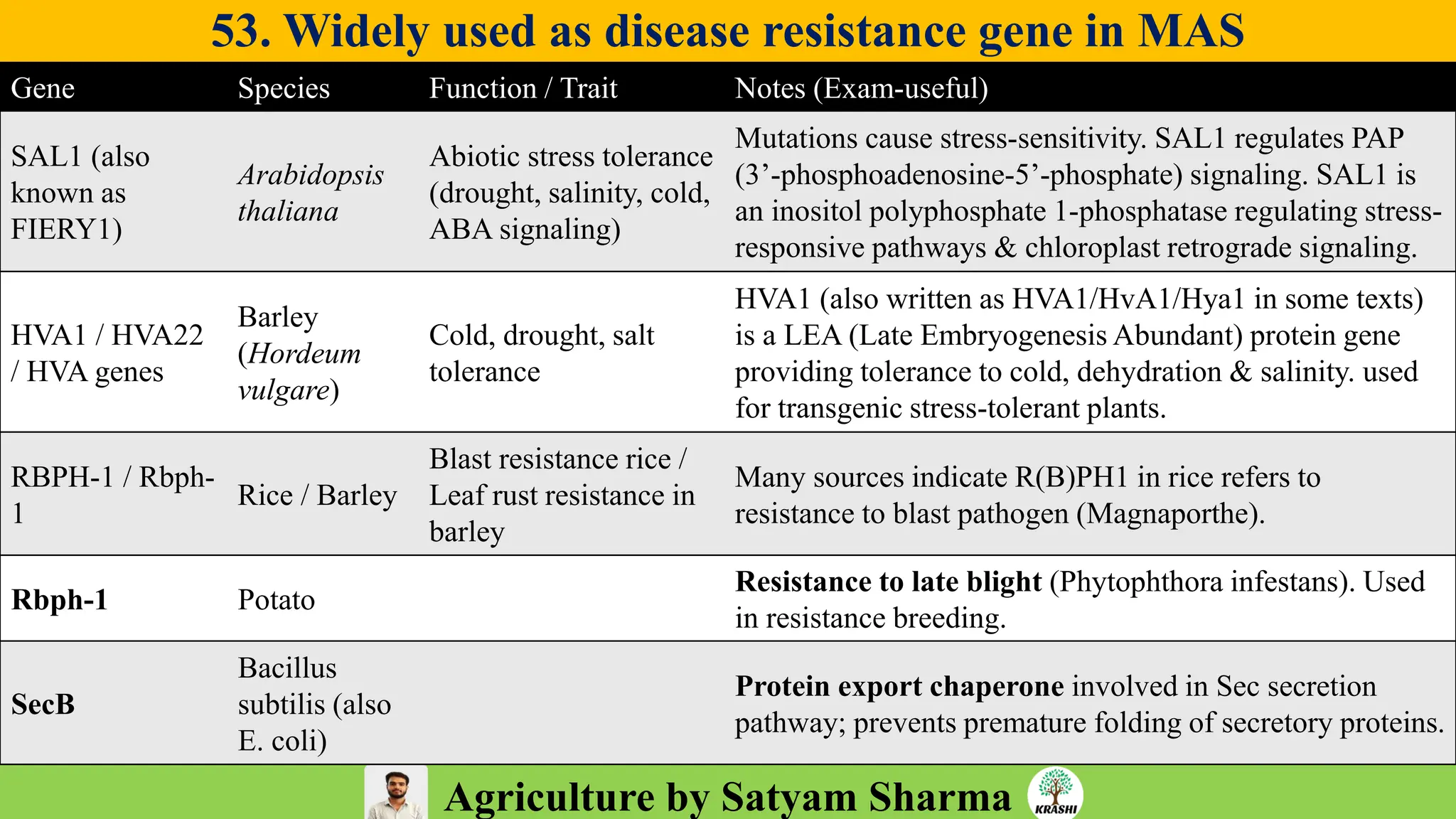 Agriculture by Satyam Sharma
53. Widely used as disease resistance gene in MAS
❖1.
Gene Species Function / Trait Notes (Exam-useful)
SAL1 (also
known as
FIERY1)
Arabidopsis
thaliana
Abiotic stress tolerance
(drought, salinity, cold,
ABA signaling)
Mutations cause stress-sensitivity. SAL1 regulates PAP
(3’-phosphoadenosine-5’-phosphate) signaling. SAL1 is
an inositol polyphosphate 1-phosphatase regulating stress-
responsive pathways & chloroplast retrograde signaling.
HVA1 / HVA22
/ HVA genes
Barley
(Hordeum
vulgare)
Cold, drought, salt
tolerance
HVA1 (also written as HVA1/HvA1/Hya1 in some texts)
is a LEA (Late Embryogenesis Abundant) protein gene
providing tolerance to cold, dehydration & salinity. used
for transgenic stress-tolerant plants.
RBPH-1 / Rbph-
1
Rice / Barley
Blast resistance rice /
Leaf rust resistance in
barley
Many sources indicate R(B)PH1 in rice refers to
resistance to blast pathogen (Magnaporthe).
Rbph-1 Potato
Resistance to late blight (Phytophthora infestans). Used
in resistance breeding.
SecB
Bacillus
subtilis (also
E. coli)
Protein export chaperone involved in Sec secretion
pathway; prevents premature folding of secretory proteins.
 