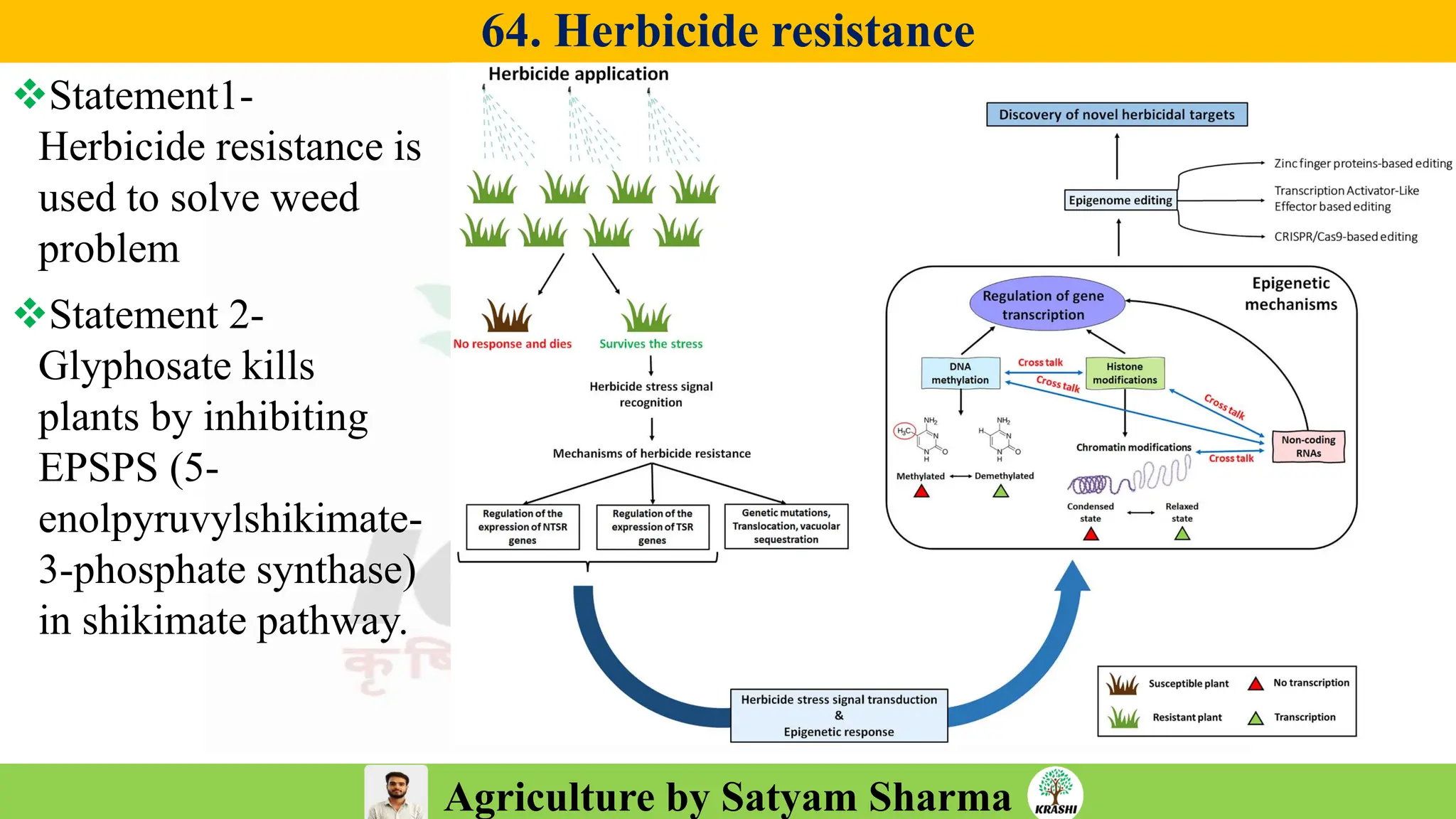 Agriculture by Satyam Sharma
64. Herbicide resistance
❖Statement1-
Herbicide resistance is
used to solve weed
problem
❖Statement 2-
Glyphosate kills
plants by inhibiting
EPSPS (5-
enolpyruvylshikimate-
3-phosphate synthase)
in shikimate pathway.
 