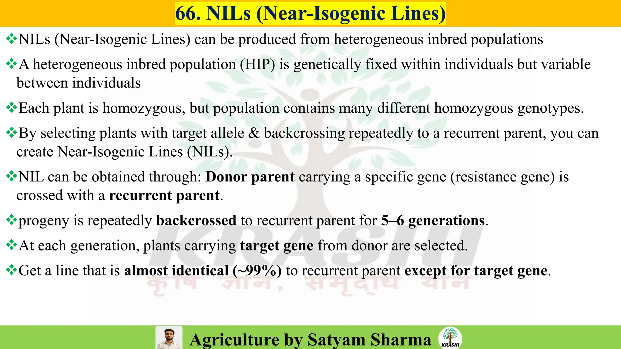 Agriculture by Satyam Sharma
66. NILs (Near-Isogenic Lines)
❖NILs (Near-Isogenic Lines) can be produced from heterogeneous inbred populations
❖A heterogeneous inbred population (HIP) is genetically fixed within individuals but variable
between individuals
❖Each plant is homozygous, but population contains many different homozygous genotypes.
❖By selecting plants with target allele & backcrossing repeatedly to a recurrent parent, you can
create Near-Isogenic Lines (NILs).
❖NIL can be obtained through: Donor parent carrying a specific gene (resistance gene) is
crossed with a recurrent parent.
❖progeny is repeatedly backcrossed to recurrent parent for 5–6 generations.
❖At each generation, plants carrying target gene from donor are selected.
❖Get a line that is almost identical (~99%) to recurrent parent except for target gene.
 