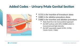 © 2024 Health Catalyst Inc. All Rights Reserved.
Added Codes – Urinary/Male Genital Section
 51721 is for insertion of transducer alone
 55881 is for ablation procedure alone
 55882 is for insertion and ablation procedure
 Note that this is for transurethral approach
 Do NOT confuse with HIFU (55880) which is
transrectal and high intensity
 Do NOT separately report 51701, 51702,
72195-72197, 77002
 