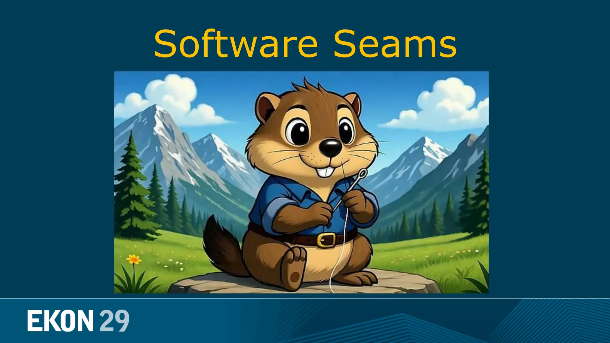 Software Seams 