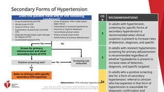 2025 High Blood Pressure Guideline Clinical Slides.pptx