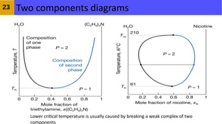 Comprehensive Analysis of Phase Equilibrium and Phase Diagrams in ...