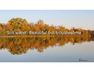 Still water: Beautiful but troublesome
 