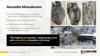 14 LION ONE METALS | TSXV:LIO | OTCQX: LOMLF
TUVATU: PRODUCING HIGH - GRADE FIJI GOLD
Roscoelite Mineralization
Characteristic of large high - grade alkaline
gold systems, e.g. Porgera, Lihir, Cripple Creek
Rare green - black alteration mineral
Directly related to high grade gold
Widely observed at Tuvatu, including in the
ultra high - grade Zone 500
Visible gold with roscoelite underground at Tuvatu
“The highest gold grades… ubiquitously occur
with roscoelite , a vanadium - rich mica.”
D. Schmidt, 2023 Thesis, Colorado School of Mines
 