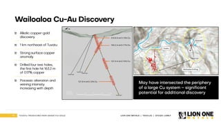 18 LION ONE METALS | TSXV:LIO | OTCQX: LOMLF
TUVATU: PRODUCING HIGH - GRADE FIJI GOLD
Wailoaloa Cu - Au Discovery
Alkalic copper - gold
discovery
1 km northeast of Tuvatu
Strong surface copper
anomaly
Drilled four test holes,
the first hole hit 163.2 m
of 0.17% copper
Potassic alteration and
veining intensity
increasing with depth
May have intersected the periphery
of a large Cu system – significant
potential for additional discovery
 