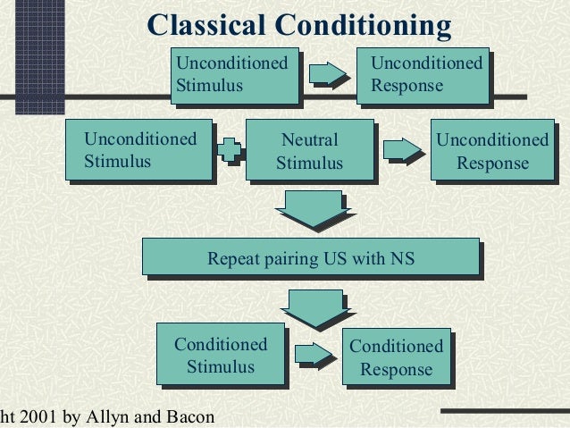 what response is caused by a neutral stimulus what response is caused by a neutral stimulus