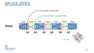 Deep Learning at GUGC: From Splice Site Detection to Medical Imaging ...