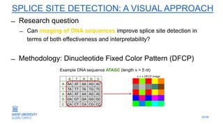 Deep Learning at GUGC: From Splice Site Detection to Medical Imaging ...