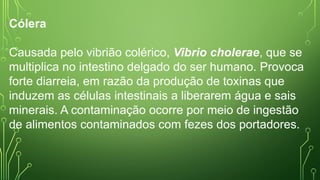 Cólera
Causada pelo vibrião colérico, Vibrio cholerae, que se
multiplica no intestino delgado do ser humano. Provoca
forte diarreia, em razão da produção de toxinas que
induzem as células intestinais a liberarem água e sais
minerais. A contaminação ocorre por meio de ingestão
de alimentos contaminados com fezes dos portadores.
 