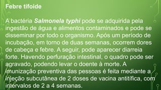 Febre tifoide
A bactéria Salmonela typhi pode se adquirida pela
ingestão de água e alimentos contaminados e pode se
disseminar por todo o organismo. Após um período de
incubação, em torno de duas semanas, ocorrem dores
de cabeça e febre. A seguir, pode aparecer diarreia
forte. Havendo perfuração intestinal, o quadro pode ser
agravado, podendo levar o doente à morte. A
imunização preventiva das pessoas é feita mediante a
injeção subcutânea de 2 doses de vacina antitífica, com
intervalos de 2 a 4 semanas.
 