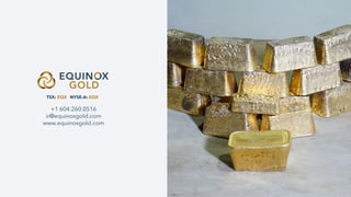 24
+1 604.260.0516
ir@equinoxgold.com
www.equinoxgold.com
TSX: EQX NYSE-A: EQX
 