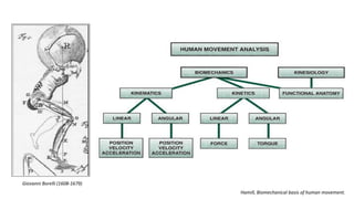 Comprehensive Overview of Joint Physiology and Biomechanics in Human ...