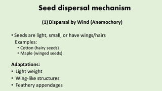 Comprehensive Overview of Seed Structure, Appendages, and Dispersal ...