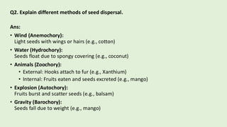 Comprehensive Overview of Seed Structure, Appendages, and Dispersal ...