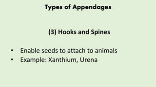 Comprehensive Overview of Seed Structure, Appendages, and Dispersal ...