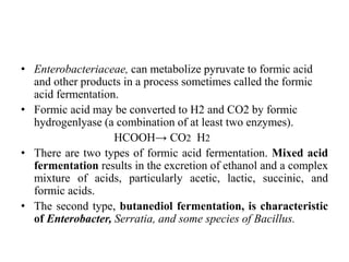 Fermentation Mixture FERMENTATIONS , PHOTOSYNTHESIS & NITROGEN FIXATION | PPTX