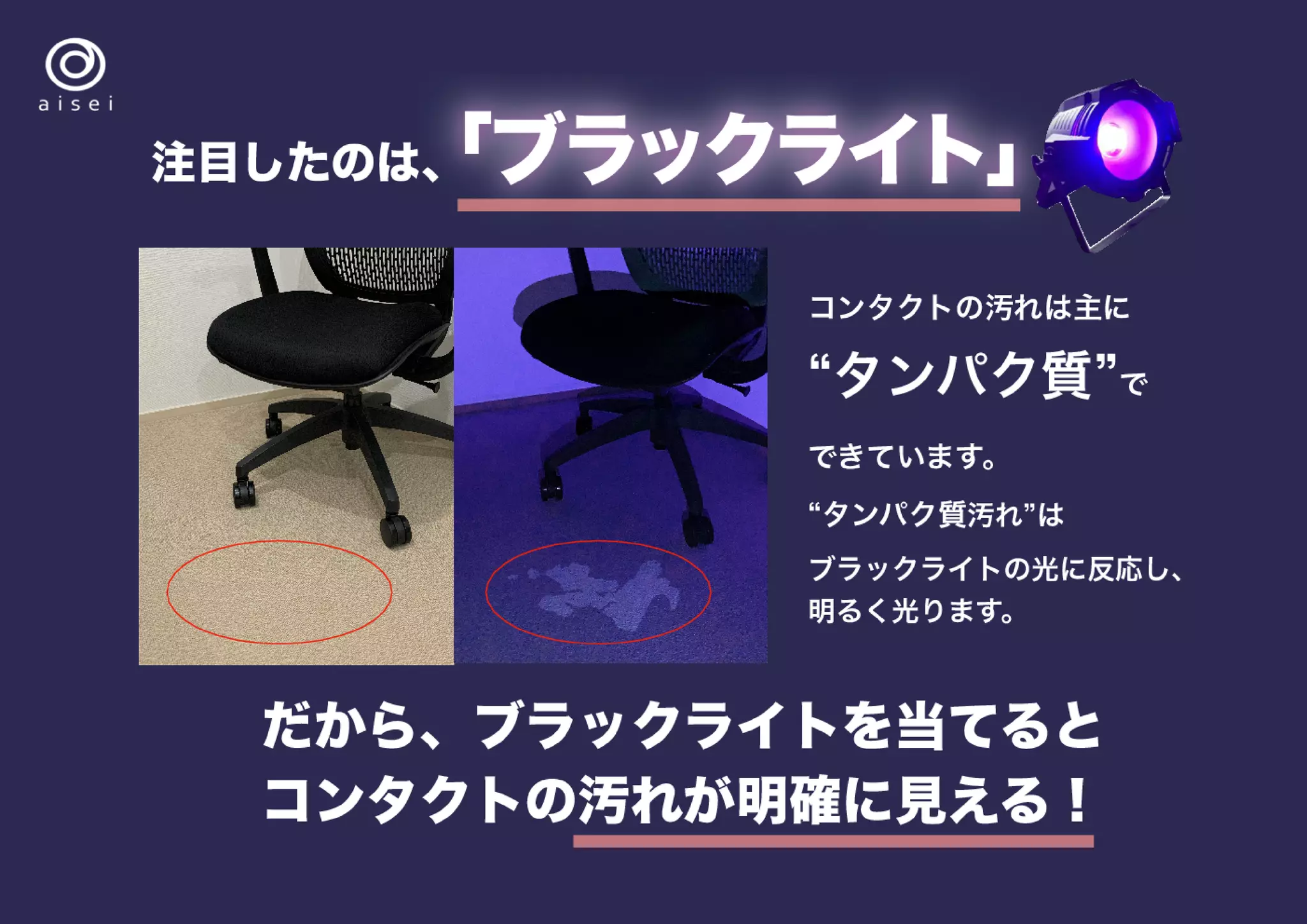 キャッツアイセイケース