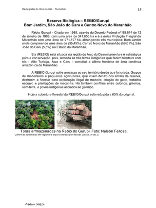 Radiografia de. Bom Jardim – Maranhão
Adilson Motta
15
Reserva Biológica – REBIO/Gurupi
Bom Jardim, São João do Caru e Centro Novo do Maranhão
Rebio Gurupi - Criada em 1988, através do Decreto Federal nº 95.614 de 12
de janeiro de 1988, com uma área de 341.650 ha e é a única Proteção Integral do
Maranhão com uma área de 271.197 há, abrangendo três municípios: Bom Jardim
onde compreende uma área de (35,49%), Centro Novo do Maranhão (59,01%), São
João do Caru (5,5%) no Estado do Maranhão.
Ela (REBIO) está situada na região do Arco do Desmatamento e é estratégica
para a conservação, pois, somada às três terras indígenas que fazem fronteira com
ela - Alto Turiaçu, Awa e Caru - constitui a última fronteira de área contínua
amazônica do Maranhão.
A REBIO Gurupi sofre ameaças ao seu território desde que foi criada. Grupos
de madeireiros e pequenos agricultores, que vivem dentro dos limites da reserva,
destroem a floresta para exploração ilegal de madeira, criação de gado, trabalho
escravo e plantações de maconha. Há também conflitos entre colonos, grileiros,
sem-terra, e povos indígenas aliciados ao garimpo.
Hoje a cobertura florestal da REBIO/Gurupi está reduzida a 65% do original.
Toras arrmazenadas na Rebio do Gurupi. Foto: Nelson Feitosa.
Caminhão apreendido em flagrante e depois liberado por decisão judicial. (Foto 2)
 