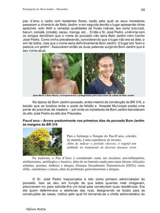 Radiografia de. Bom Jardim – Maranhão
Adilson Motta
48
pau d´arco e cedro com bastantes flores; razão pela qual os seus moradores
passaram a chamá-lo de Belo Jardim; e em seguida devido o lugar apresentar clima
aprazível, solo fértil e variadas qualidades de frutas nativas, tais como tuturubá,
bacuri, coroatá, (croatá), cacau, manga, etc… Então o Sr. José Pedro, unânime com
os amigos decidiram que o nome do povoado não seria Belo Jardim nem Centro
José Pedro. Como vinha prevalecendo, considerando que o lugar não era só dele, e
sim de todos, mas que o nome seria definitivamente Bom Jardim. O lugar era “bom e
parecia um jardim”. Associaram então as duas palavras surgindo Bom Jardim que é
seu nome atual.
Dona Maria e Dona Neusa, co-responsáveis e protagonistas pelo atual nome da cidade de Bom Jardim.
Na época de Bom Jardim povoado, antes mesmo da construção da BR 316, o
baixão que se localiza entre o posto de Nildão e Hospital Municipal existia uma
ponte de pranchas de madeira – por onde os moradores de Bom Jardim transitavam
do alto José Pedro ao alto dos Praxedes.
Pau-d´arco – Árvore predominante nos primeiros dias do povoado Bom Jardim
às margens da BR 316
Na medicina, o Pau d’Arco é considerado como um excelente anti-inflamatório,
antibacteriano, antifúngico e laxativo; além de ser bastante usado para tratar úlceras, infecções
urinárias, psoríase, diabetes e alergias, Doenças Sexualmente Transmissíveis (DSTs), como
sífilis, candidíases e cancro, além de problemas gastrointestinais e alergias..
O Sr. José Pedro Vasconcelos é tido como primeiro administrador do
povoado. Isso se deu em função de que todos quantos nele chegavam,
procuravam–no para solicitar-lhe um local para construírem suas residências. Era
ele quem determinava a aberturas das ruas, designando os locais para as
construções de casas, motivo pelo qual foi tornando-se o chefe administrativo do
Para o Sertanejo a floração do Pau-D´arco, colorido
de amarelo, é uma experiência de inverno.
Além de indicar o período chuvoso, o vegetal tem
utilidade no tratamento de diversas doenças virais
 