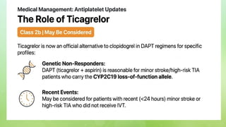 2026 Guidelines for Early Management of Acute Ischemic Stroke Patients ...