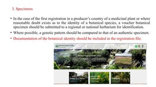 3. Specimens
• In the case of the first registration in a producer’s country of a medicinal plant or where
reasonable doubt exists as to the identity of a botanical species, a voucher botanical
specimen should be submitted to a regional or national herbarium for identification.
• Where possible, a genetic pattern should be compared to that of an authentic specimen.
• Documentation of the botanical identity should be included in the registration file.
 