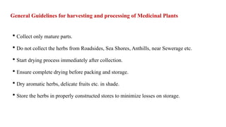General Guidelines for harvesting and processing of Medicinal Plants
 Collect only mature parts.
 Do not collect the herbs from Roadsides, Sea Shores, Anthills, near Sewerage etc.
 Start drying process immediately after collection.
 Ensure complete drying before packing and storage.
 Dry aromatic herbs, delicate fruits etc. in shade.
 Store the herbs in properly constructed stores to minimize losses on storage.
 