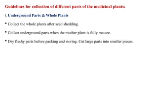 Guidelines for collection of different parts of the medicinal plants:
I. Underground Parts & Whole Plants
 Collect the whole plants after seed shedding.
 Collect underground parts when the mother plant is fully mature.
 Dry fleshy parts before packing and storing. Cut large parts into smaller pieces.
 