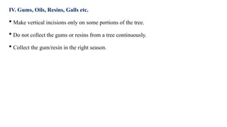 IV. Gums, Oils, Resins, Galls etc.
 Make vertical incisions only on some portions of the tree.
 Do not collect the gums or resins from a tree continuously.
 Collect the gum/resin in the right season.
 