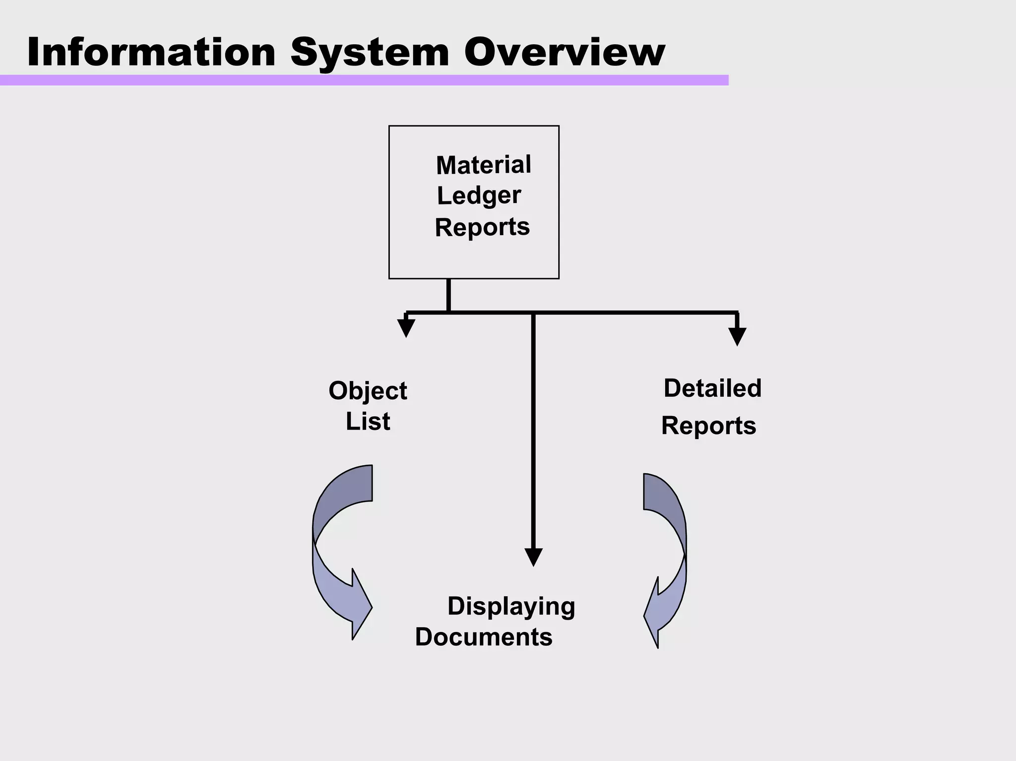 Displaying
Documents
Material
Ledger
Reports
Object
List Reports
Detailed
Information System Overview
 