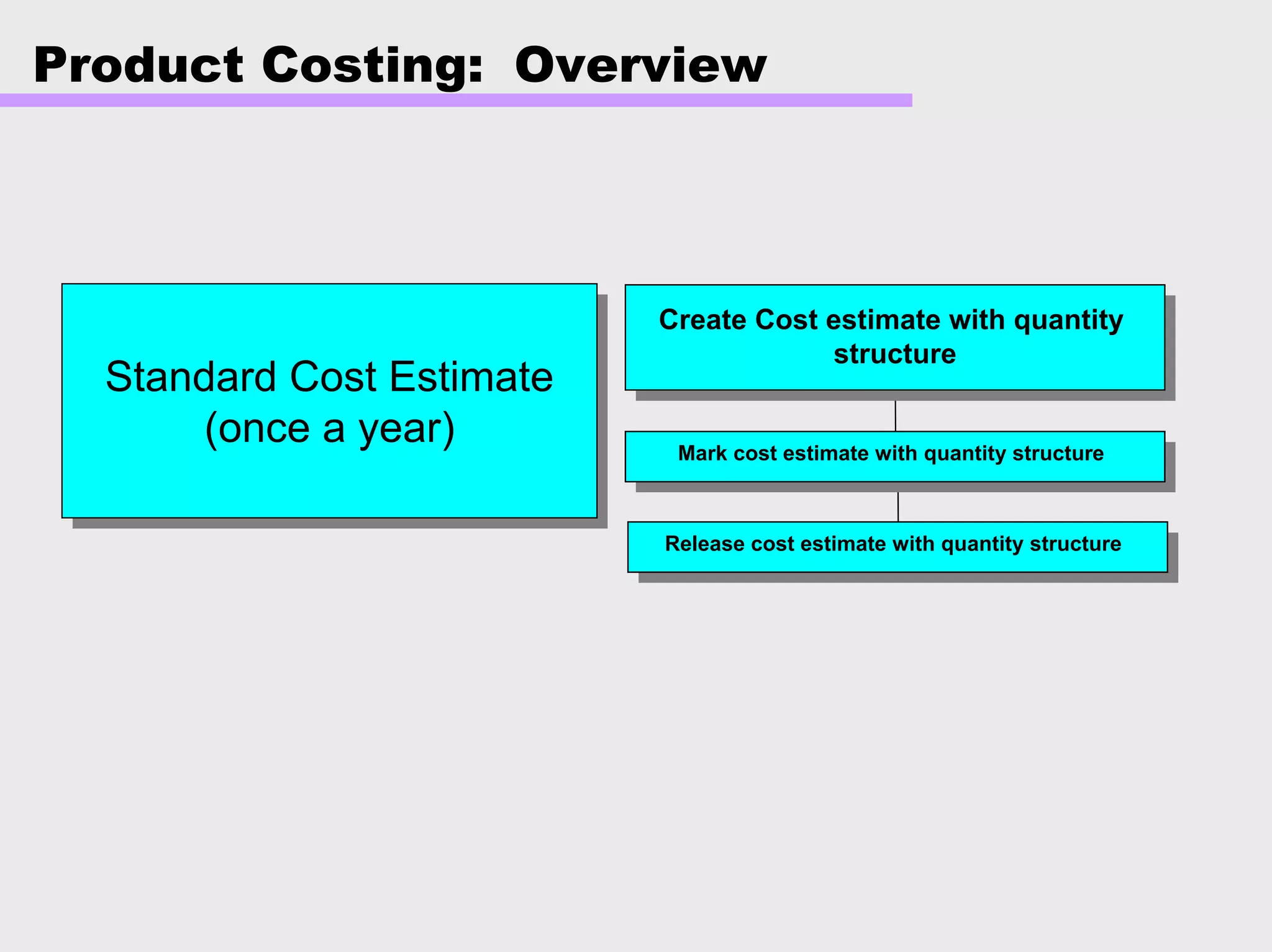 Product Costing: Overview
Standard Cost Estimate
(once a year)
Standard Cost Estimate
(once a year)
Release cost estimate with quantity structure
Mark cost estimate with quantity structure
Create Cost estimate with quantity
structure
 