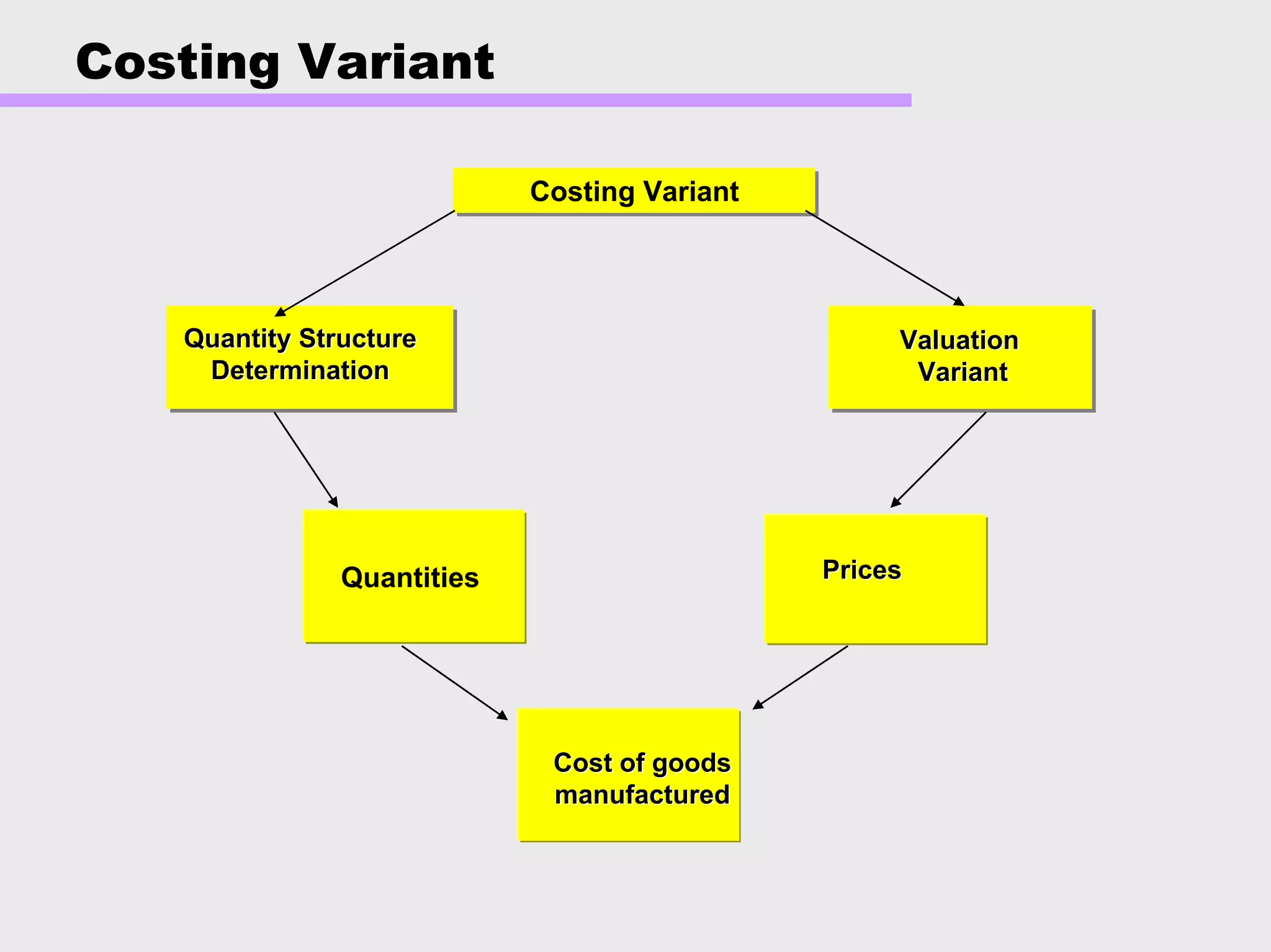 Costing Variant
ValuationValuation
VariantVariant
Quantity StructureQuantity Structure
DeterminationDetermination
Costing VariantCosting Variant
PricesPricesQuantities
Cost of goodsCost of goods
manufacturedmanufactured
 