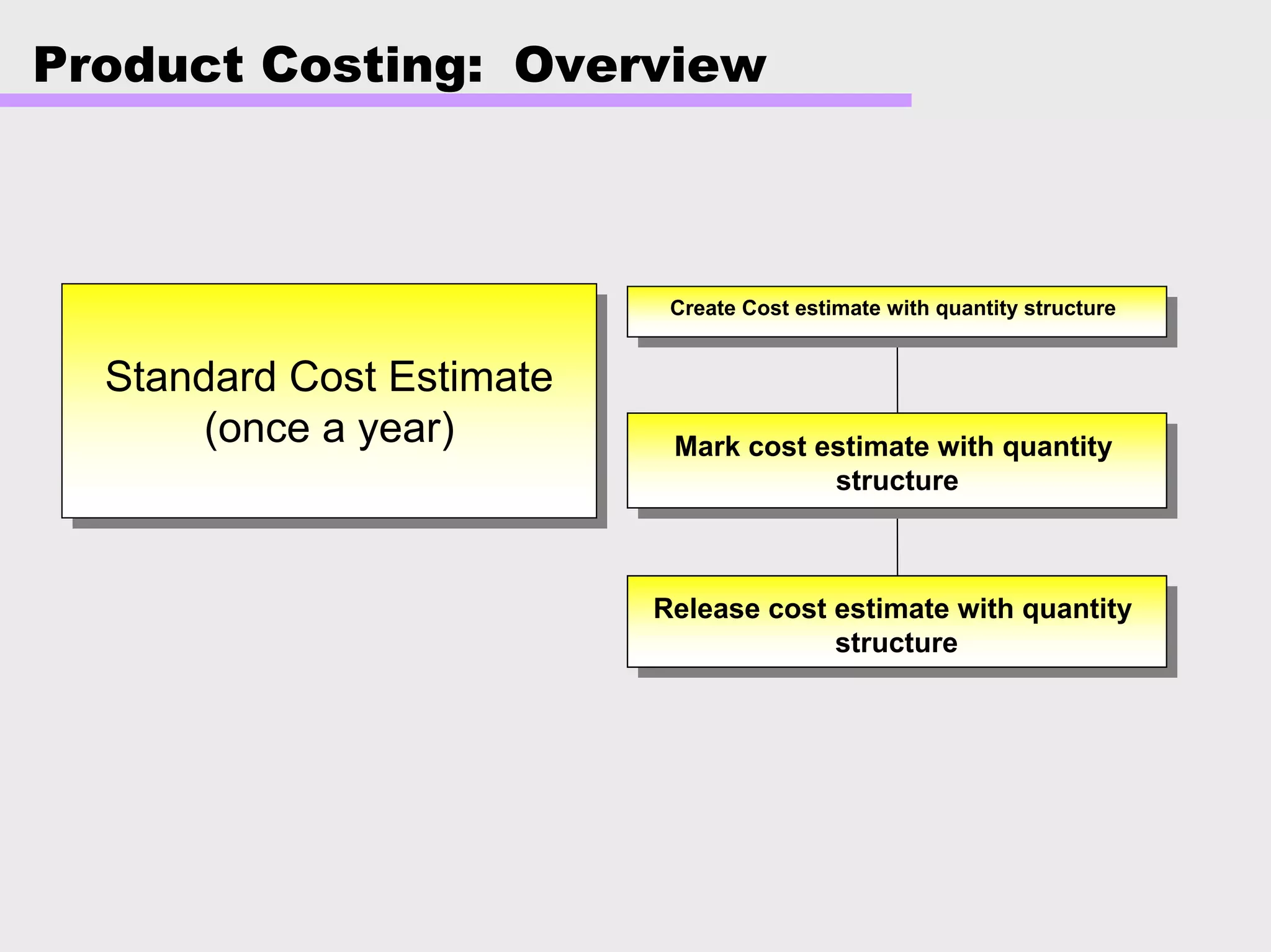 Product Costing: Overview
Standard Cost Estimate
(once a year)
Standard Cost Estimate
(once a year)
Release cost estimate with quantity
structure
Mark cost estimate with quantity
structure
Create Cost estimate with quantity structure
 