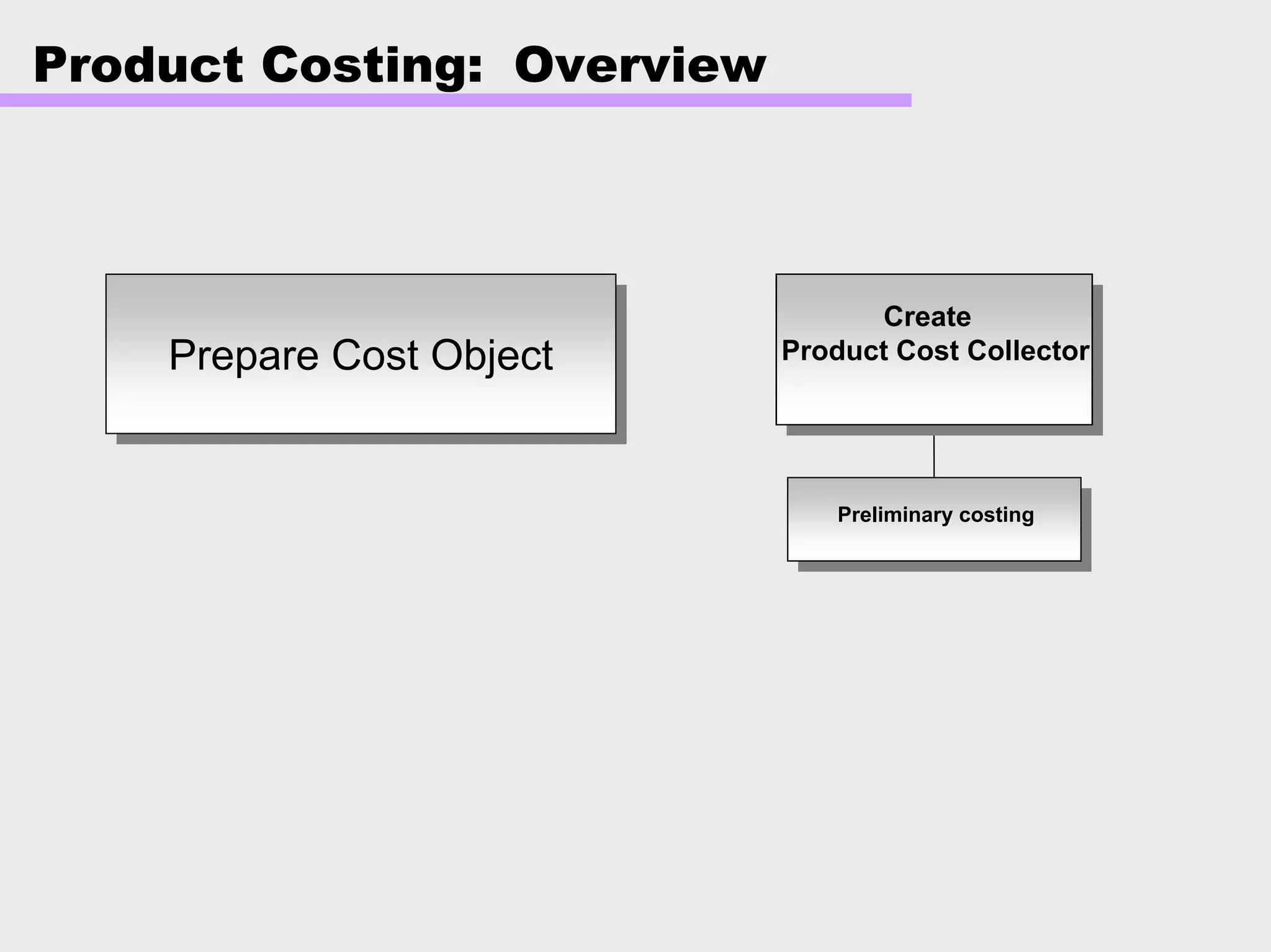 Product Costing: Overview
Prepare Cost ObjectPrepare Cost Object
Preliminary costing
Create
Product Cost Collector
 