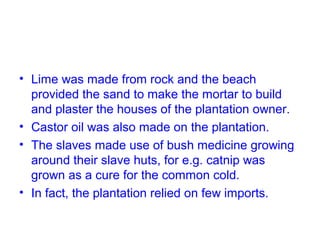 • Lime was made from rock and the beach
provided the sand to make the mortar to build
and plaster the houses of the plantation owner.
• Castor oil was also made on the plantation.
• The slaves made use of bush medicine growing
around their slave huts, for e.g. catnip was
grown as a cure for the common cold.
• In fact, the plantation relied on few imports.
 