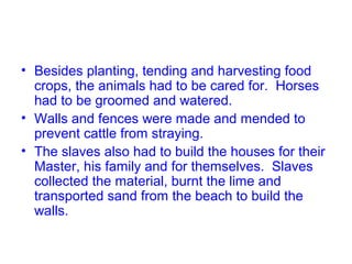 • Besides planting, tending and harvesting food
crops, the animals had to be cared for. Horses
had to be groomed and watered.
• Walls and fences were made and mended to
prevent cattle from straying.
• The slaves also had to build the houses for their
Master, his family and for themselves. Slaves
collected the material, burnt the lime and
transported sand from the beach to build the
walls.
 